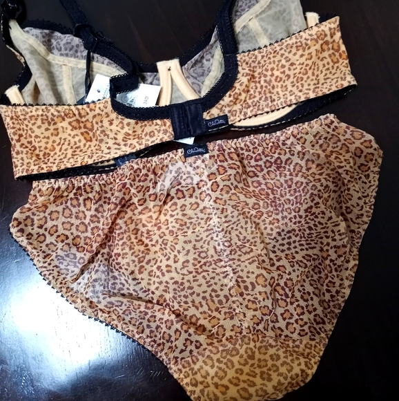 NWT Bra and Panty Matching Set 34D/S - Picture 6 of 7